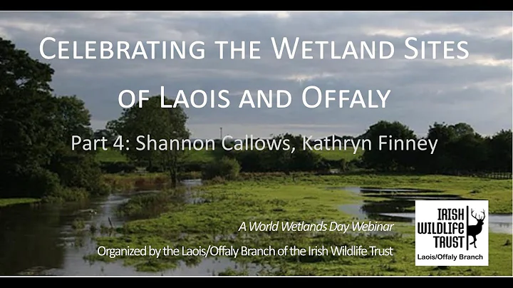 Wetland Sites of Laois & Offaly Part 4: Shannon Callows IWT Laois/Offaly Branch