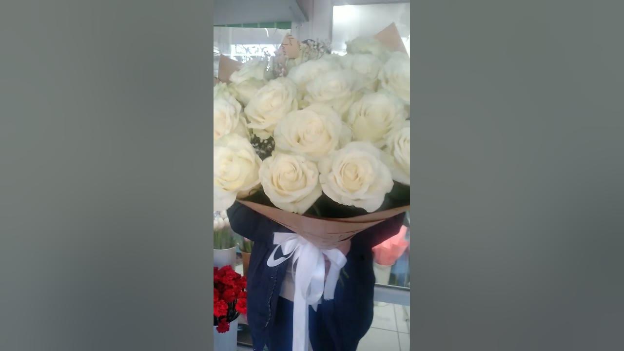 Біла троянда 🌹🌹🌹 Мондіаль, для рідненької💞💞 - YouTube