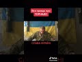 Маджахед ТОРНАДО
