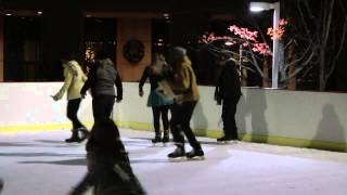 Ice Skating Thanksgiving 2014 Columbia SC