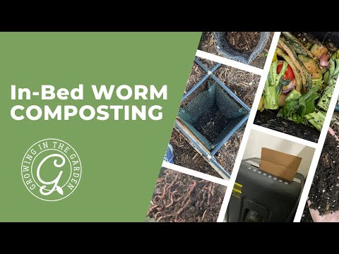 Wideo: Wermikompostowanie pod zlewami - ślimakowe pojemniki kompostujące do wnętrz