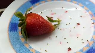 Evde Çilek Ektik Im