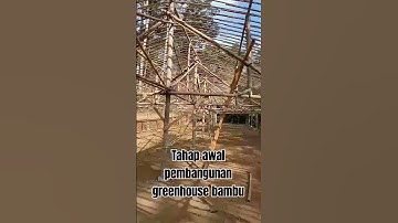 Thumbnail of Pembangunan greenhouse bambu #carapasangplastikuv#plastikuv#greenhousebambu #diy #shortvideos