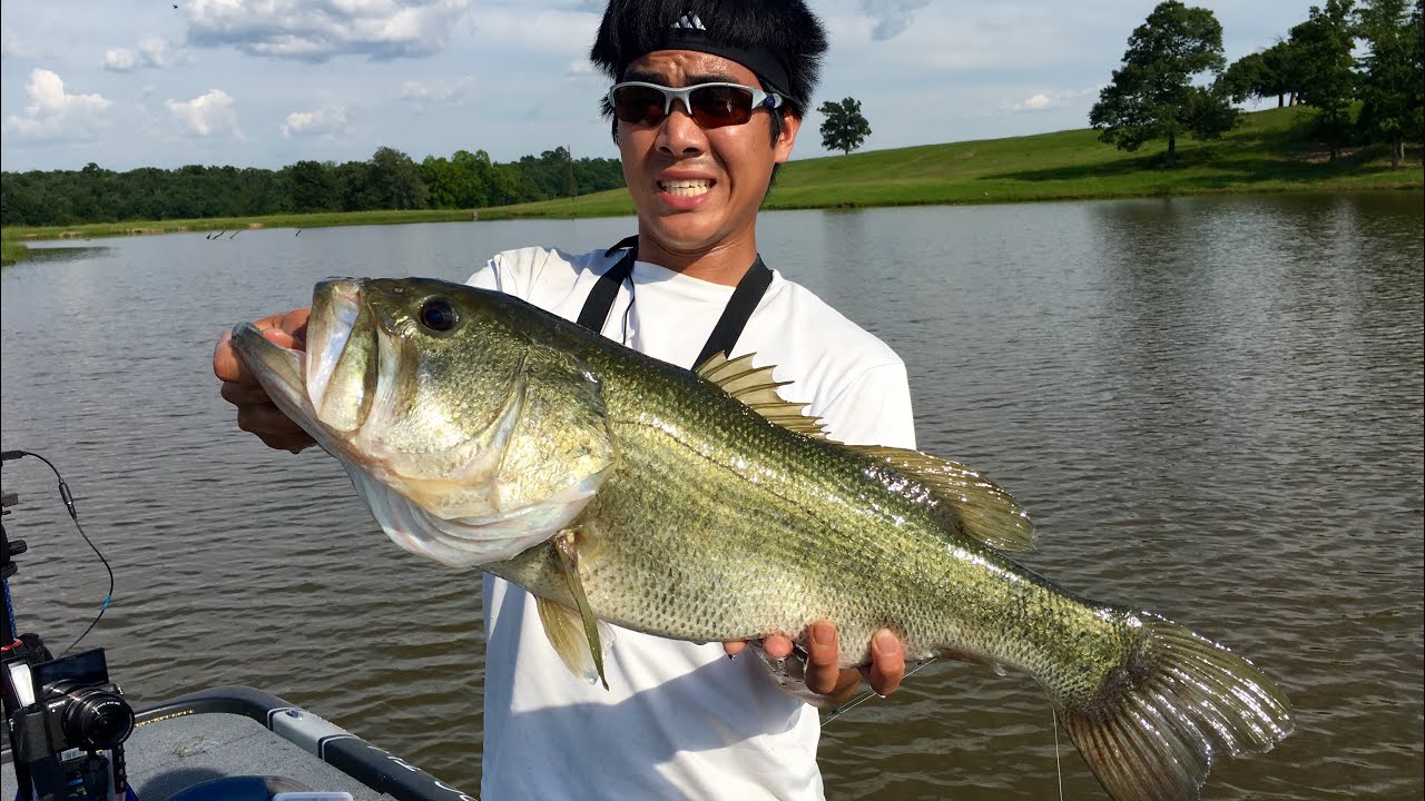 HUMONGOUS Bass on Spinnerbaits!!! Fishing in Texas (ft. LunkersTV