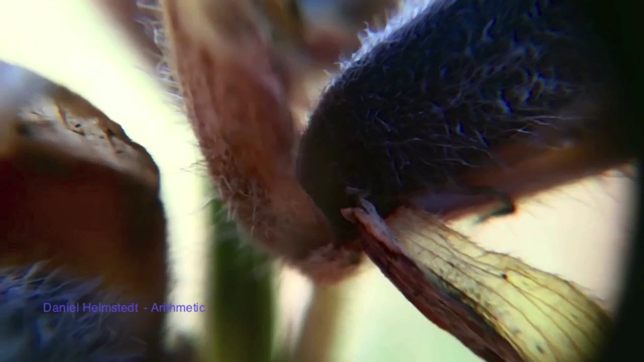 Daniel Helmstedt -   Arithmetic (Tour De Traum XV)