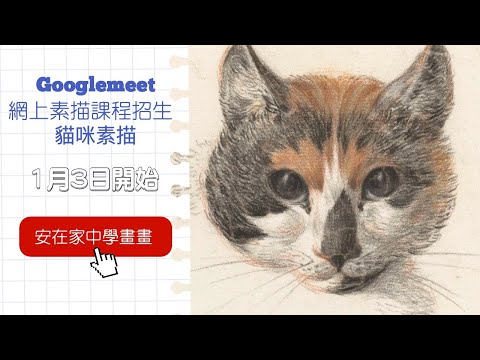 GoogleMeet 貓咪素描網上課程招生 | 為新手而設 | 入門課程包含所有新手所需 | 一筆一筆網上跟着老師學習 | 安在家中學畫畫 | #素描 #屯門畫室