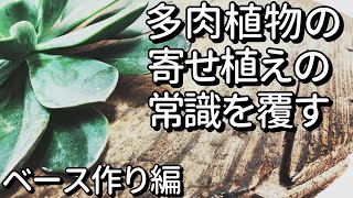【新作必見】多肉植物のフラワーアレンジメント/寄せ植えを作る方法PART1/How to make  a Planting succulent plants