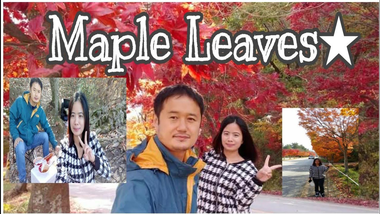 Having a road trip around Naejangsan Part 1 (Maple  leaves)♡♡♡