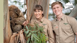 Terri, Robert and a very lucky koala | Irwin Family Adventures