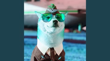 Wicked Backdrops for Doggo Relaxing