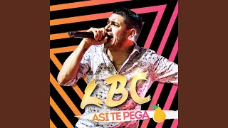 Video thumbnail of "La Banda de Carlitos - Hoy Nos Pegamos en la Pera"