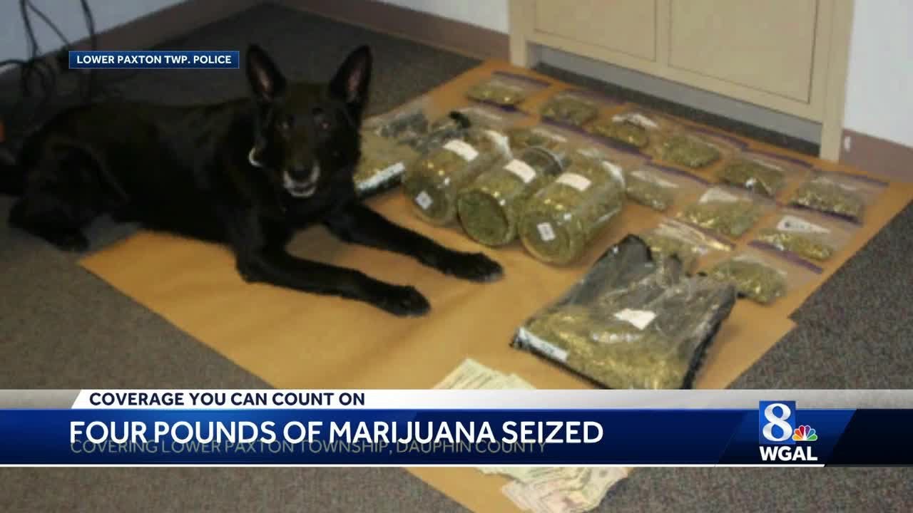 Police seize 4 pounds of marijuana, cash from home - YouTube