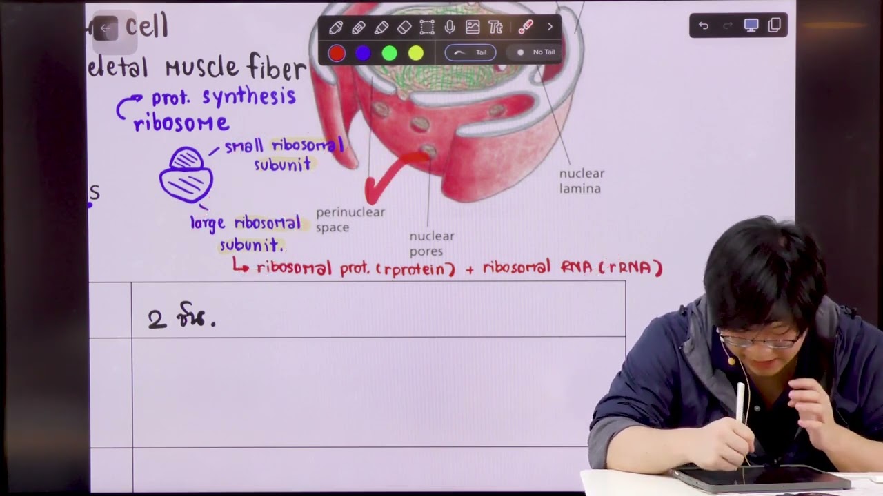 Free For All - Cell Biology - Part 4