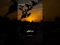 غاويني والغية فيه غاويني وكل الغلا فيه أنا اللي غاويني وهو كل شي أبيه الغلا فيه مو بس إحساس