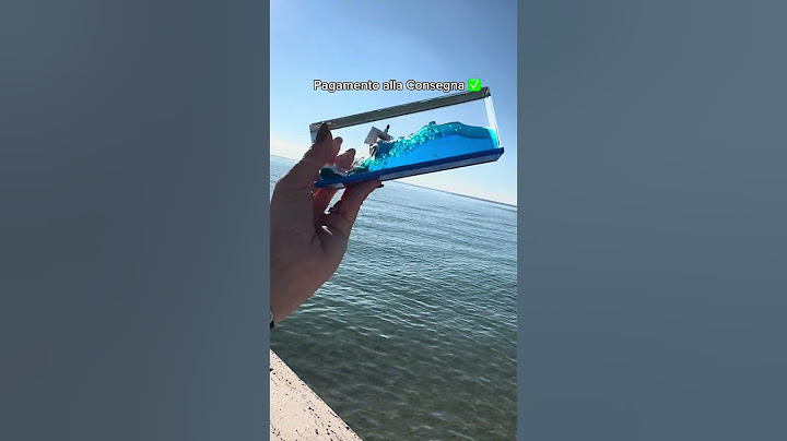 Il regalo perfetto non esis…🤭 #regaloperfetto #regalidinatale #onepiece #goingmerry