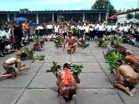 Costa Caribe El Baile Del Sonpopo Youtube