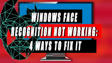 Windows Face Recognition Not Working: 4 Ways to Fix it / Fix windows facial login not working