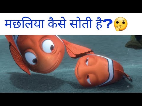 वीडियो: मछली कब तक रहती है?