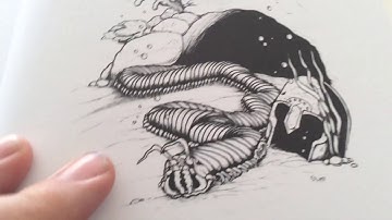 ASE 2-3  Anomalous Subsurface Environment 2-3