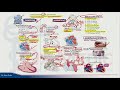 ESI 2019  PEDIATRÍA  CARDIOPATÍAS CONGÉNITAS - DR  JHON ORTIZ