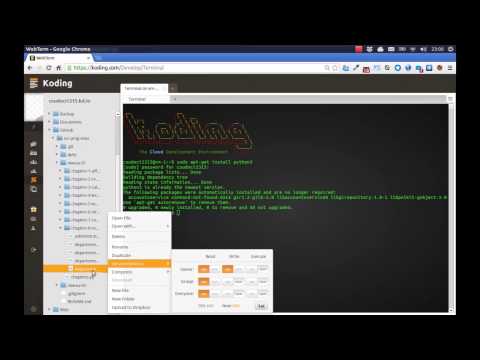 Koding - cours 03 : éditer et tester le code Python