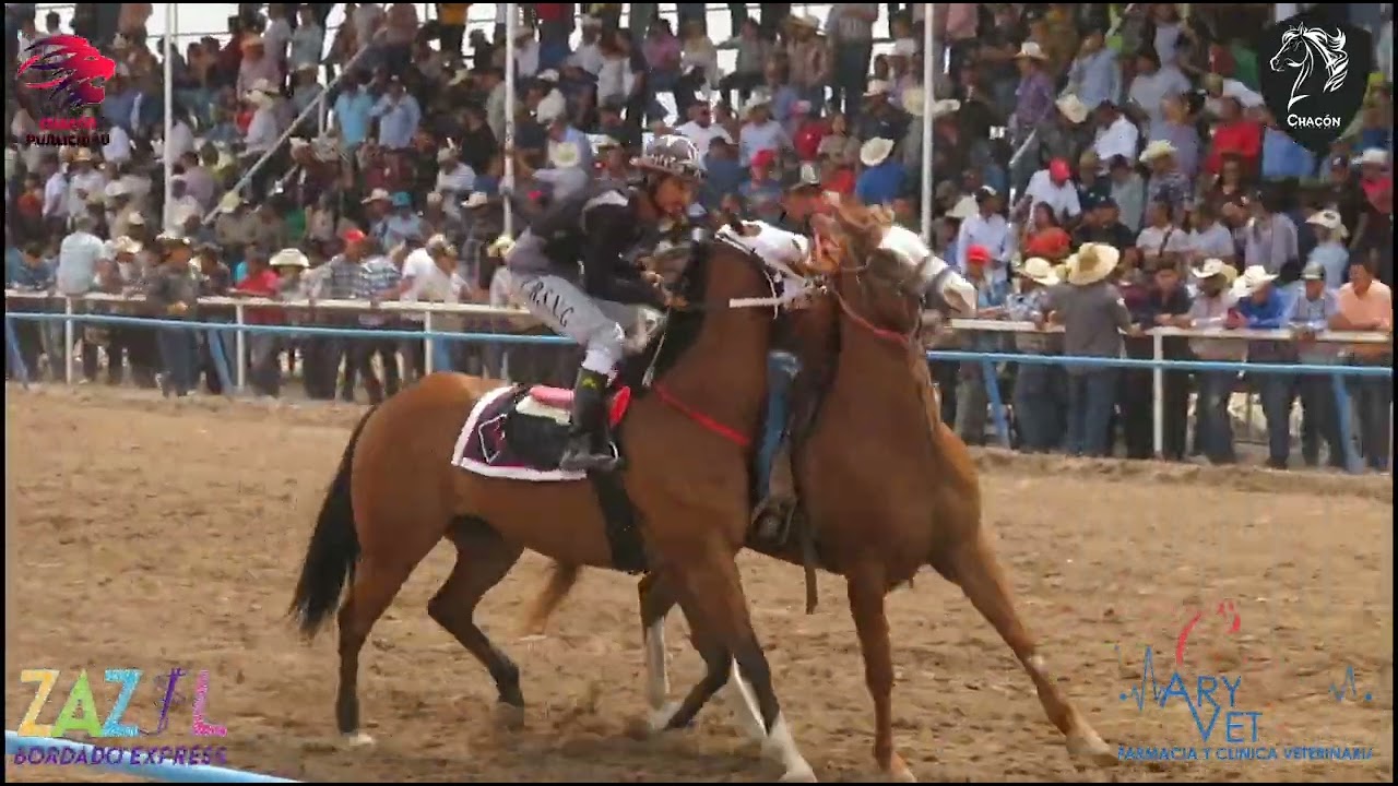 Club Hípico La Laguna. El Condor