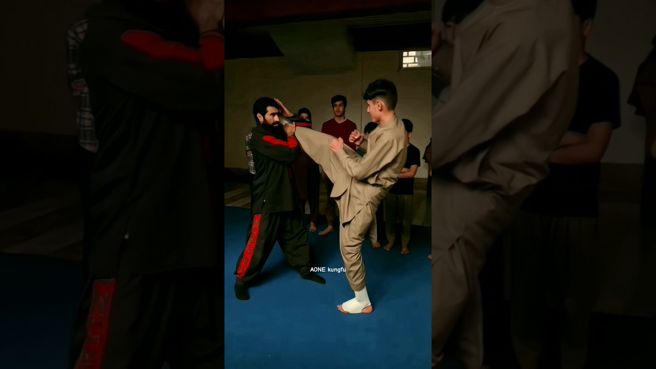 Kung Fu Master DK | Kick Blocking Technique | Martial Arts Training