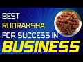 Best Rudraksha For Business | kaunsa Rudraksha best hai business ke liye?