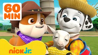 PAW Patrol Pups Save the Farm & More Rescues!  w/ Marshall and Rubble | 1 Hour | Nick Jr.