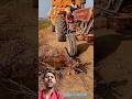 Massey tractor loading trolley ko lekar pani ki tuti puliya ko cross kar rha hai #farming #massey