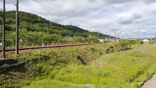 2073列車 EF210-141牽引 #貨物列車#EF210