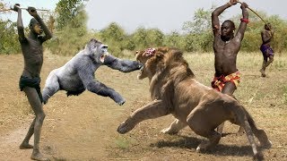 Hunters and Predators of the Planet Wild Animals Attacks  Wild Animal Fights Caught On Camera