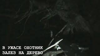 НЕЧТО ЖУТКОЕ ПРЕСЛЕДОВАЛО ОХОТНИКА В ТАЙГЕ. 5 Жутких Видео про Непонятных Существ Снятых на Камеру