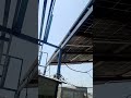 solar panel junkio 20
