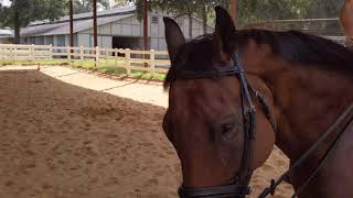 FlatWork 12 Sep 2021