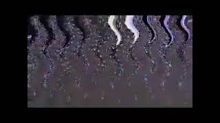 Klasky Csupo Remake In Six Super Duper Extra High Pitched (G-Major 29999 GigaCubed + UHHP)
