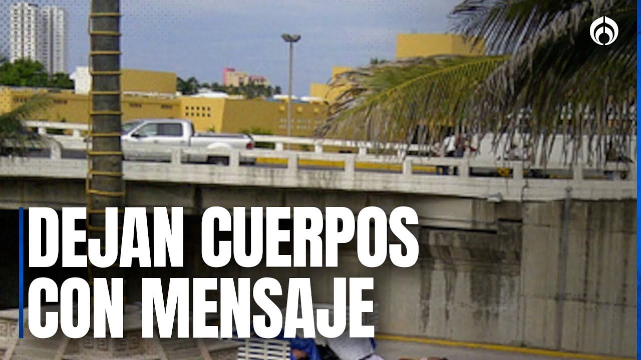 Hallan cuerpos humanos abandonados en Veracruz