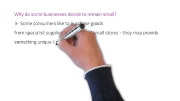 17 IGCSE Business -  Why do some Businesses Decide to Remain Small?