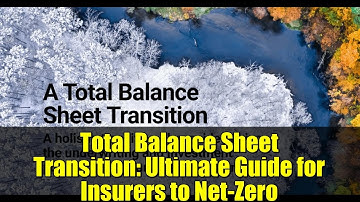 Total Balance Sheet Transition: Ultimate Guide for Insurers to Net-Zero