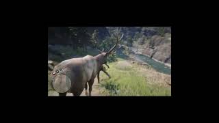 RDR2 - Help! A F**king Elk Is After Me!