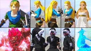 Hyrule Warriors: Age of Calamity All Characters Idle Animations (HD) + Dark Link