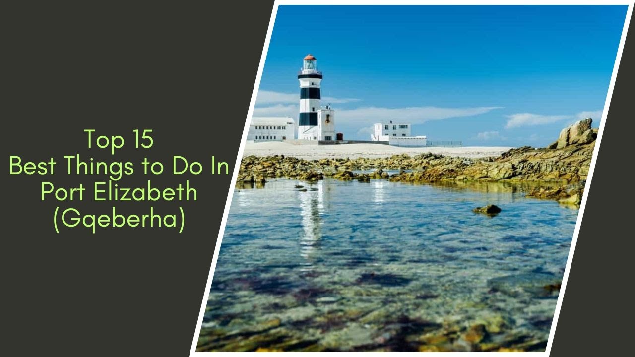 BEST Things To Do In Port Elizabeth | What To Do In Port Elizabeth 2025 | Travel Guide for Gqeberha