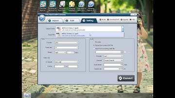 Free FLV to Mp4 Converter   Convert Flash video