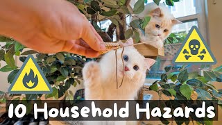 The 10 Types of Cat Hazards in Your Home | The Cat Butler
