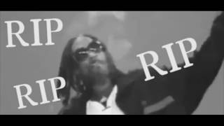 Un Homme Se Fait Devorer Par Un Requin