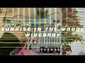 Beginning of video