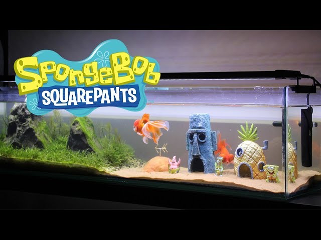 Building a SpongeBob Themed Aquarium (from scratch) 