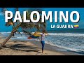 TODO SOBRE PLAYA PALOMINO COLOMBIA 🇨🇴 EN UN SOLO VIDEO 🤩