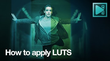 How to apply LUT effect with VSDC Free Video Editor