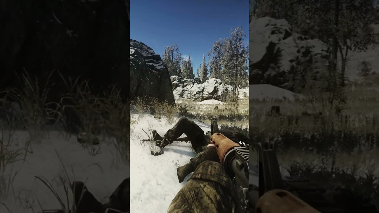 I Thought They'd Let Me Pass #shorts #eft #escapeformtarkov #tarkov #pvp #woods #wipe